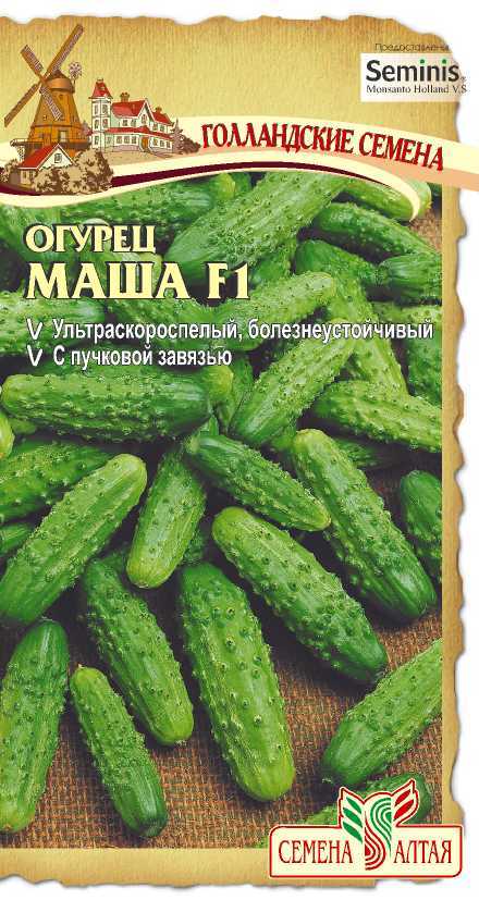 картинка Огурец Маша (цветной пакет) 5шт; Семена Алтая от магазина Флоранж