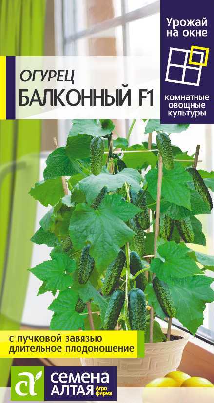 картинка Огурец Балконный F1 (цветной пакет) 5шт; Семена Алтая от магазина Флоранж