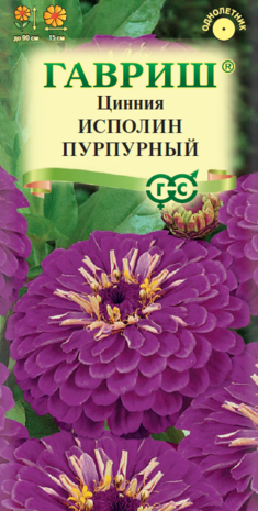 Цинния Исполин пурпурный (цветной пакет) 0,3г; Гавриш