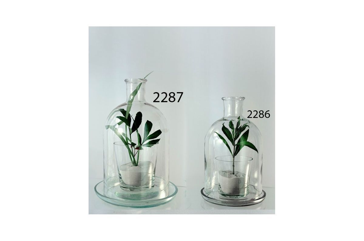 картинка Ваза стеклянная Мини-флорариум, 33х26см, 5л; Россия от магазина Флоранж