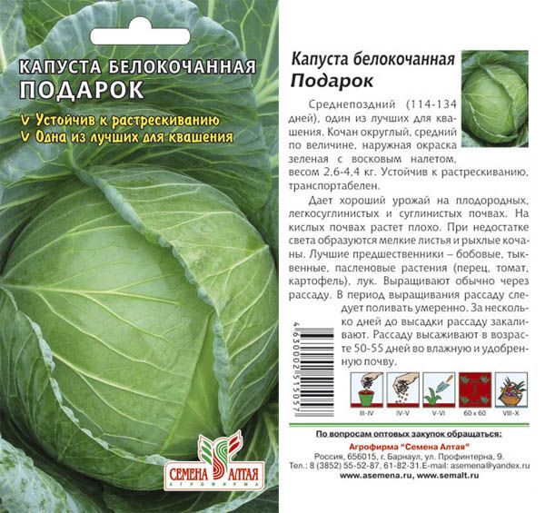 картинка Капуста белокочанная Подарок (цветной пакет) 0,5г; Семена Алтая от магазина Флоранж