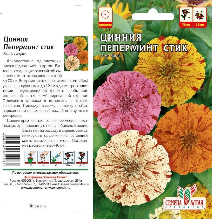 Цинния Пеперминт Стик (цветной пакет) 0,3г; Семена Алтая