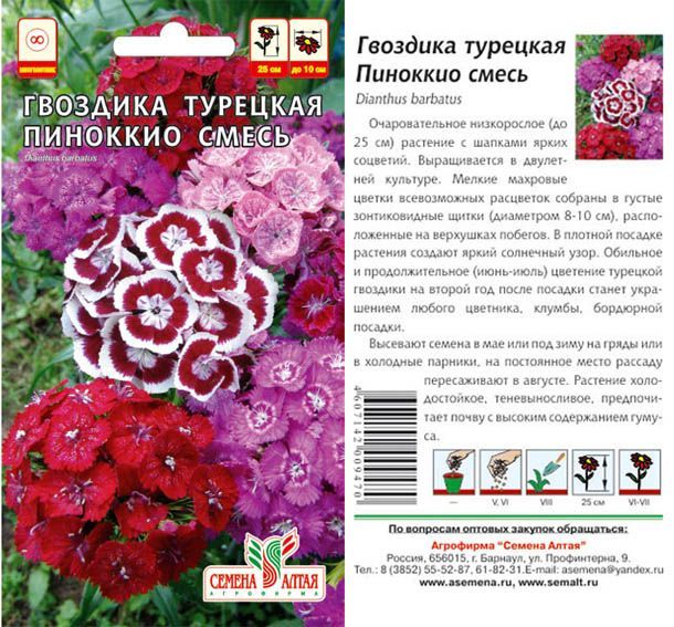 картинка Гвоздика турецкая Пиноккио (цветной пакет) 0,2г; Семена Алтая от магазина Флоранж