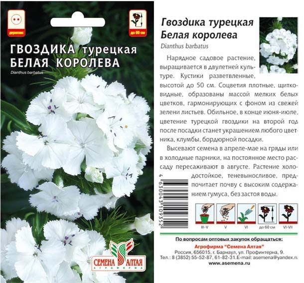 картинка Гвоздика турецкая Белая Королева (цветной пакет) 0,2г; Семена Алтая от магазина Флоранж