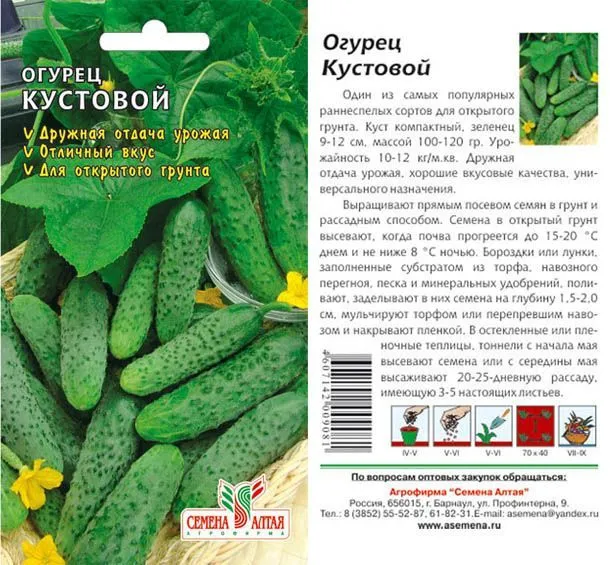 картинка Огурец Кустовой (цветной пакет) 0,5г; Семена Алтая от магазина Флоранж