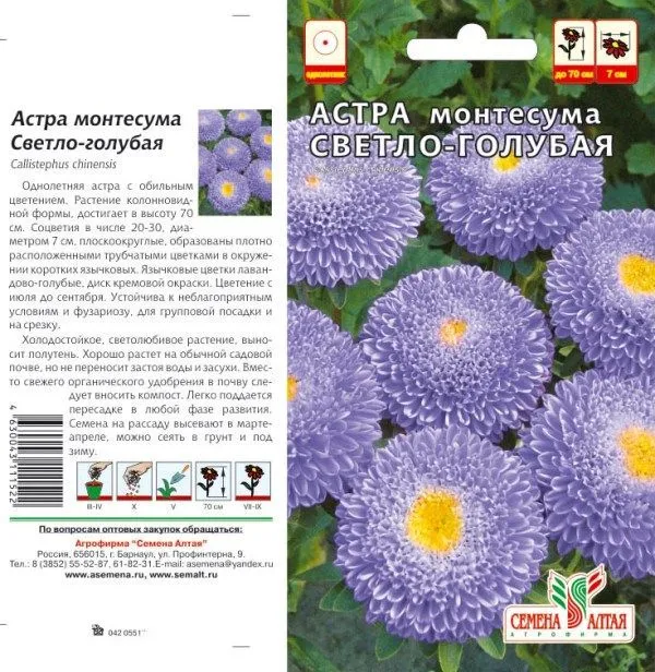 картинка Астра Монтесума (цветной пакет) 0,15г; Семена Алтая от магазина Флоранж
