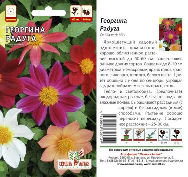 картинка Георгина Радуга (цветной пакет) 0,2г; Семена Алтая от магазина Флоранж