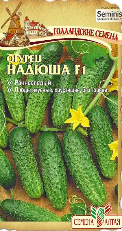 картинка Огурец Надюша (цветной пакет) 8шт; Семена Алтая от магазина Флоранж