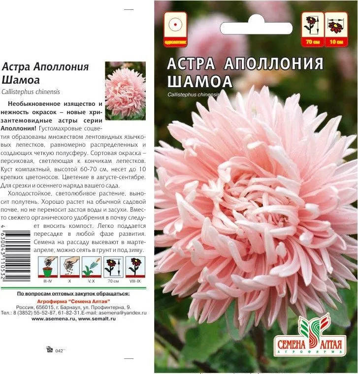 картинка Астра Аполлония Шамоа (цветной пакет) 0,2г; розовая, Семена Алтая от магазина Флоранж