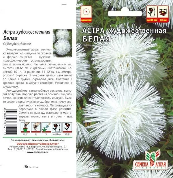 картинка Астра Художественная (цветной пакет) 0,3г; Семена Алтая от магазина Флоранж