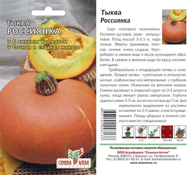 картинка Тыква Россиянка (цветной пакет) 2г; Семена Алтая от магазина Флоранж