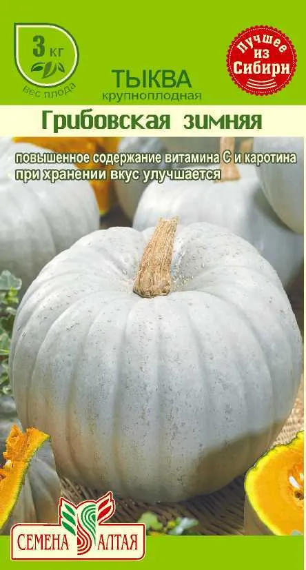 картинка Тыква Грибовская Зимняя (цветной пакет) 2г; Семена Алтая от магазина Флоранж
